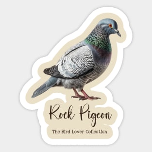 Rock Pigeon - The Bird Lover Collection Sticker